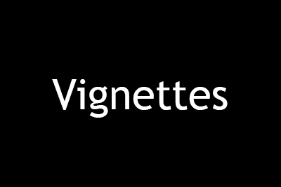 Vignettes